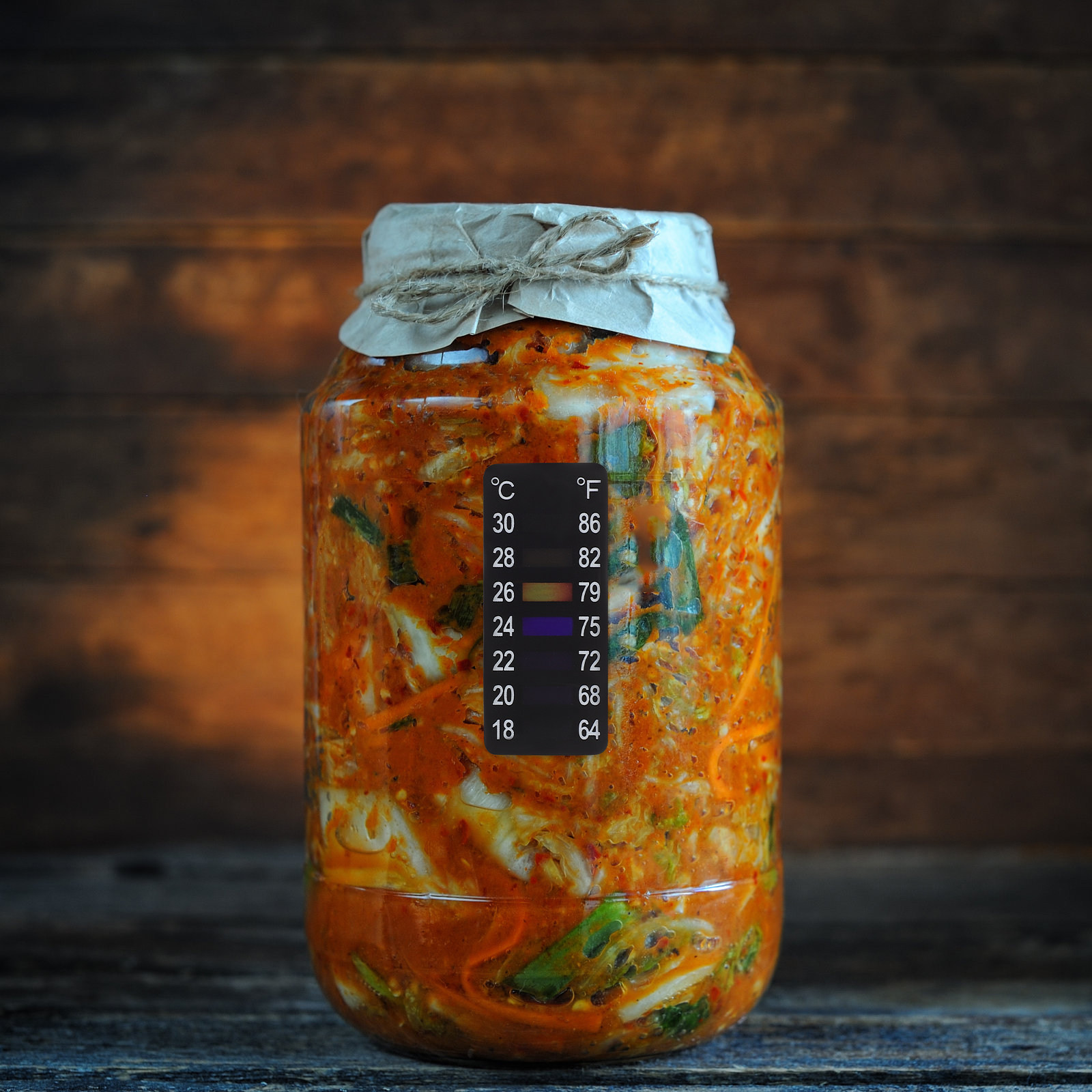 Temperature Strip Thermometer - 맥주 양조 온도계 휴대용 온도 스티커