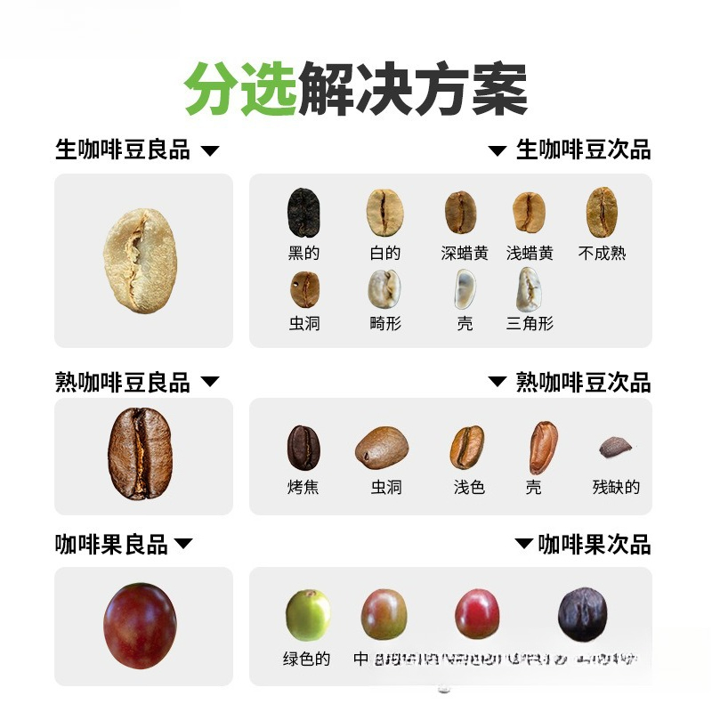 커피 색상 분류기 전문 검별 커피 생두 및 익은 커피  - Coffee.Equipment Parts 리뷰 및 가격